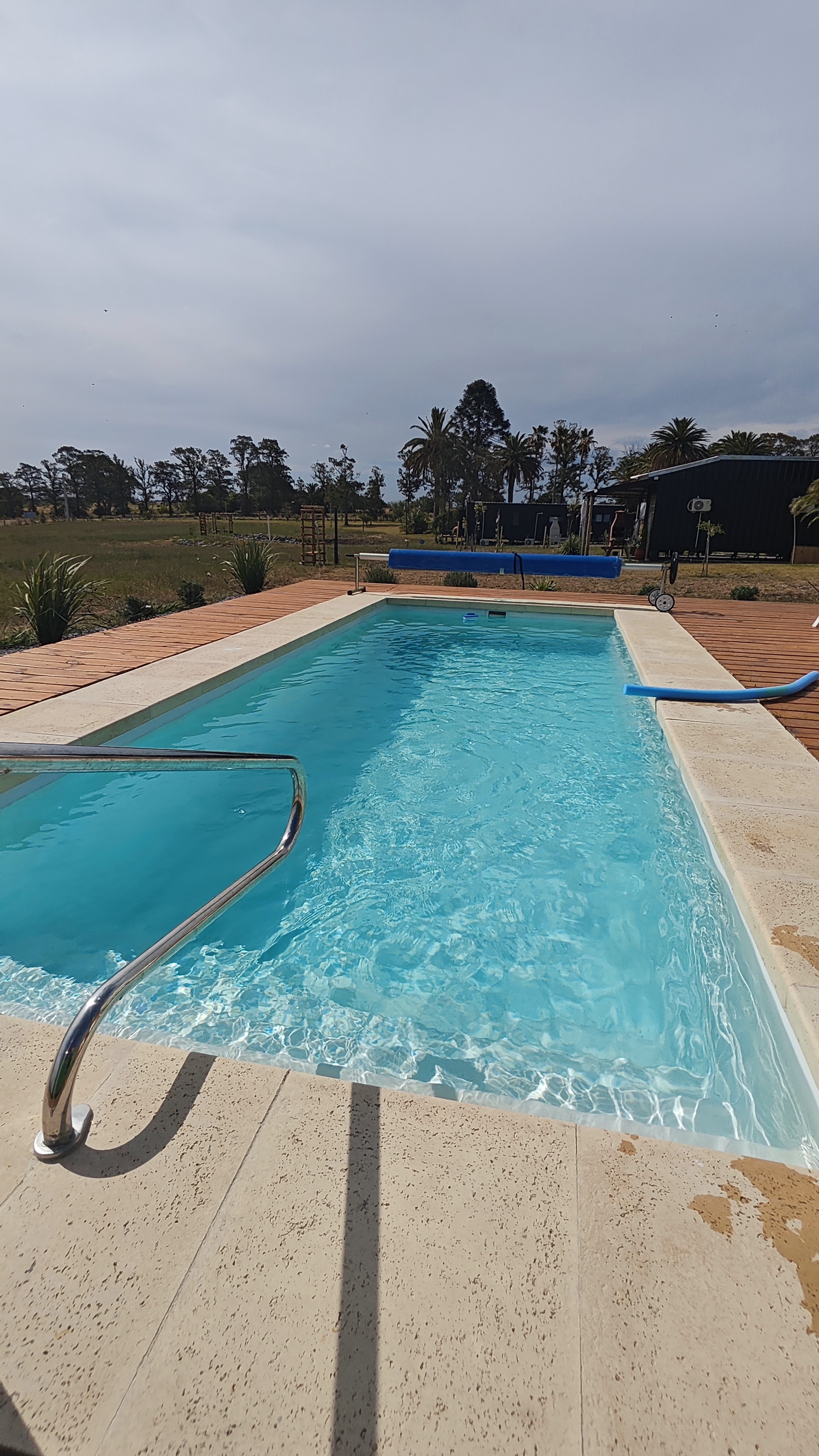 Pileta con deck de madera y palmeras